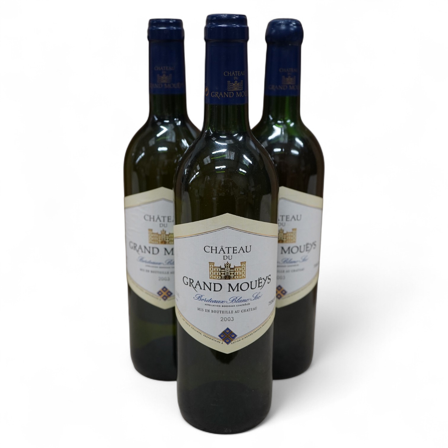 Château du Grand Moueys, 2003